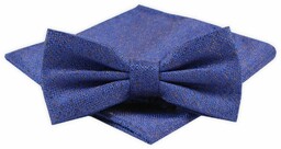 Męska Mucha z Poszetką Alties - Niebieski Melanż