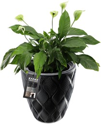 Doniczka na kwiaty z wkładem Jesi 30 cm,