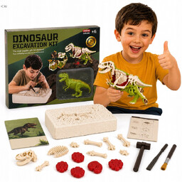 Wykopaliska dinozaur model anatomiczny szkielet dla dzieci akcesoria