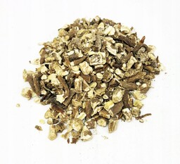 Korzeń Mniszka Lekarskiego Cięty 1 Kg 100%
