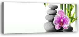 Obraz na płótnie, Kamienie Orchidea Bambus 120x40