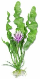 Roślina blister 20cm 2b54 Happet
