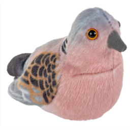 Maskotka dla dzieci ptak Gołąb Żółwiowy 13 cm
