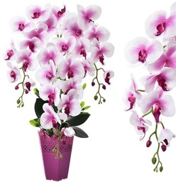 KOMPOZYCJA KWIATOWA STORCZYK 3 PĘDY W DONICY 65