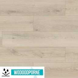 Panele winylowe SPC WILD WOOD BBL DĄB KREMOWY