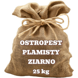 Ostropest plamisty ziarno 25 kg HURT
