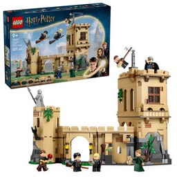 LEGO 76447 Harry Potter Zamek Hogwart: lekcja latania