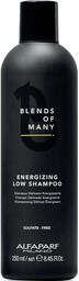 Alfaparf Blends Of Many szampon energetyzujący, wzmacniający