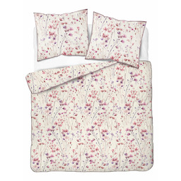 Detexpol Pościel z perkalu 160x200 kremowa w różowo-fioletowe