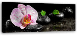 Obraz na płótnie, Kwitnąca orchidea zen 90x30