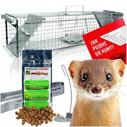 Żywołapka Pułapka na Kuny Szczury Norki Gryzonie Klatka