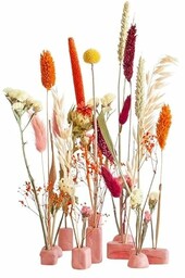 BloomPost Bloom & Clay Terra - Terakota -