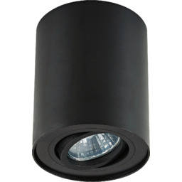 Oprawa sufitowa RONDOC H-20038-BK - Zuma Line