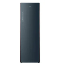 Haier Couture Care 11 CCE L02LU1-S 67,1cm Szafa