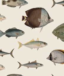 Tapeta Under the Sea Beige Wallcolors