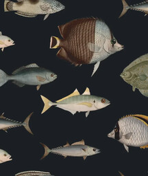 Tapeta Under the Sea Wallcolors
