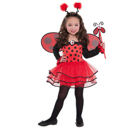 Strój Małej Biedroneczki-110