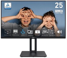 Monitor PRO MP251P 24.5 cala/LED/FHD/Flat/100Hz/Czarny