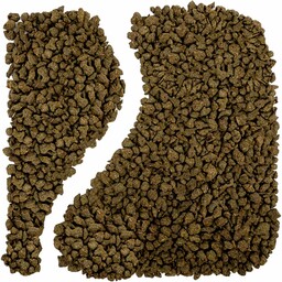 Ginseng żeń-szeń oolong turkusowy (Torba 1 kg, Pakowanie