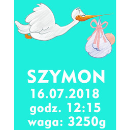 Metryczka dla chłopczyka - plakat Wymiar do wyboru: