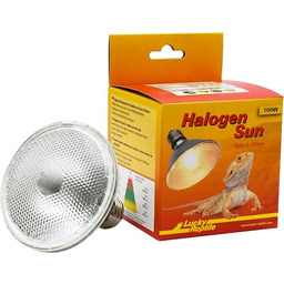 Lucky Reptile Halogen Sun dwupak - Promiennik ciepła