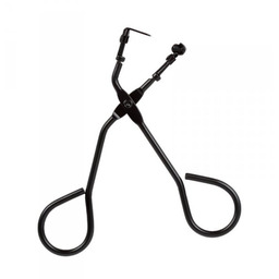 DONEGAL Zalotka Japońska (4442) - Then