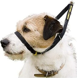 Canny Collar  Obroża Treningowa Przeciw Ciągnięciu Kantar