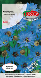 Kupidynek - Catananche caerulea niebieski 0,3g