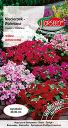 Niecierpek Waleriana - Impatiens Walen. mieszanka - niska