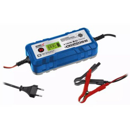 DEDRA Prostownik DEPM019LFP