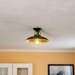 Eko-Light Lampa sufitowa Felix, zielono-złota