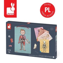 Edukacyjna układanka magnetyczna, "Anatomia człowieka", J05491-Janod, układanki
