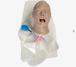Głowa do intubacji Airway Larry na podstawie