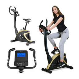 Rower Treningowy Elektromagnetyczny Rowerek Pionowy Stacjonarny