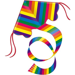 GÜNTHER FLUGSPIELE 1159 - Latawiec jednolinkowy Rainbow, kolorowy