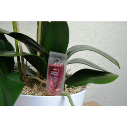 Orchid Energy odżywka do storczyków 35 ml Target