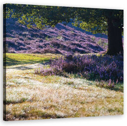 Obraz, Krajobrazy - Fioletowy 40x40