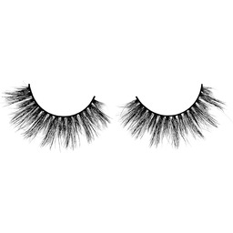 Lash Me Up Dolly, Welcome To St. Tropez,