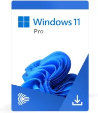 Microsoft Windows 11 Professional / aktywacja online /