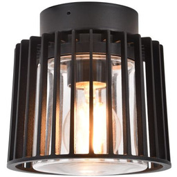 Lampa sufitowa SHYNE 6397501012 - Lutec