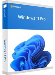Microsoft Windows 11 Professional / aktywacja online /