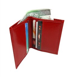 Etui Na Karty Dokumenty ANDRUS (PL) Małe 2