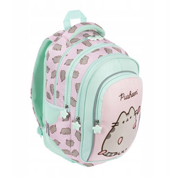 Plecak 4 komorowy Pusheen pink