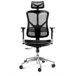 Diablo Chairs V-Basic Normal Size Biurowy do 150kg