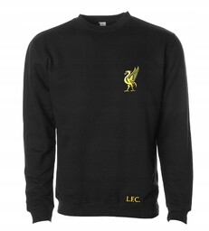 Liverpool Fc, bluza, bez kaptura, 12-14lat 152cm