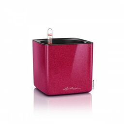Kwadratowa doniczka z nawadnianiem Lechuza Cube Glossy Kiss