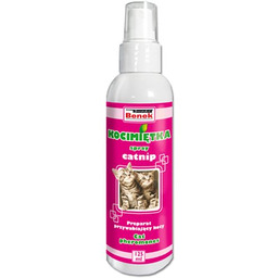 Super Benek Catnip Kocimiętka dla kotów 125 ml