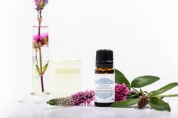 Olejek eteryczny z drzewa herbacianego Naturalny, 10 ml