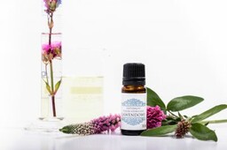 Lawendowy olejek eteryczny Naturalny, 10 ml