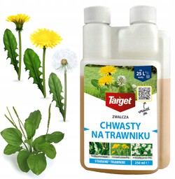 Oprysk Środek Na Chwasty W Trawie Target Starane